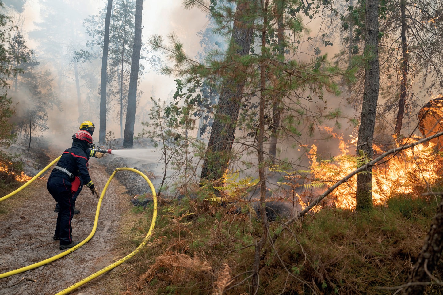 Un pompier à la lance face à un feu de forêt
